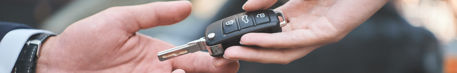 Financement (500 x 60 px) (3).png